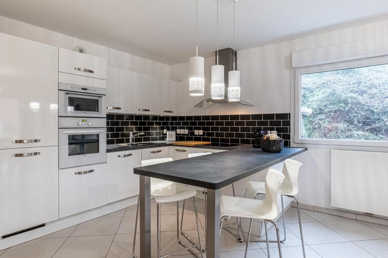 Appartement La Canopee D'annecy - Spacieux T3 Situe A L'entree De La Vieille Avec Garage Et Grande Terasse